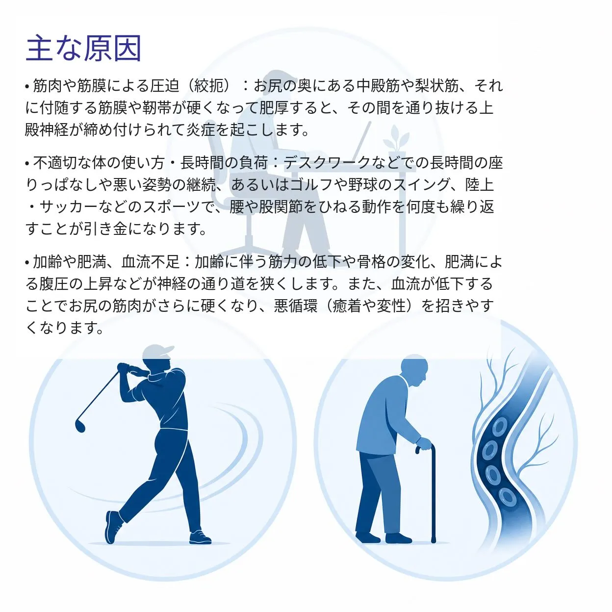 坐骨神経痛でお悩みの方へ。