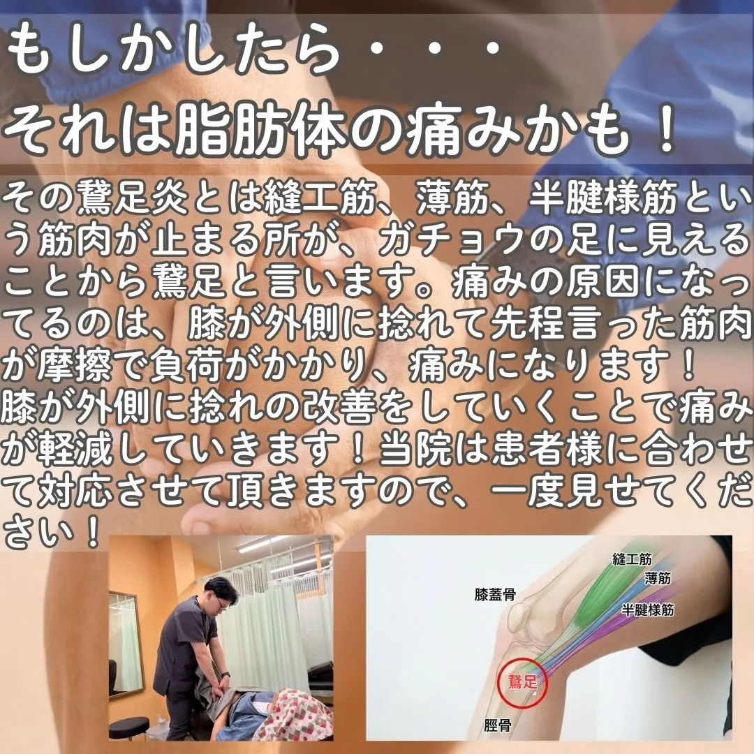 膝の痛みにお悩みですか?