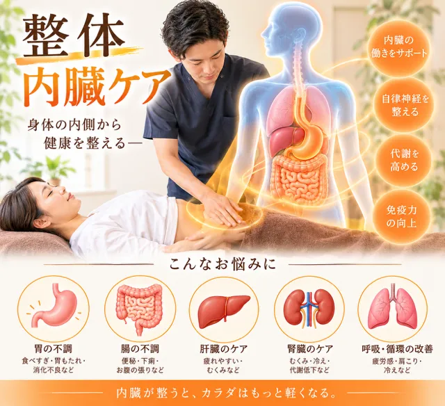 整体と内臓ケアで神奈川県横浜市南区から始める本質的な体調管理